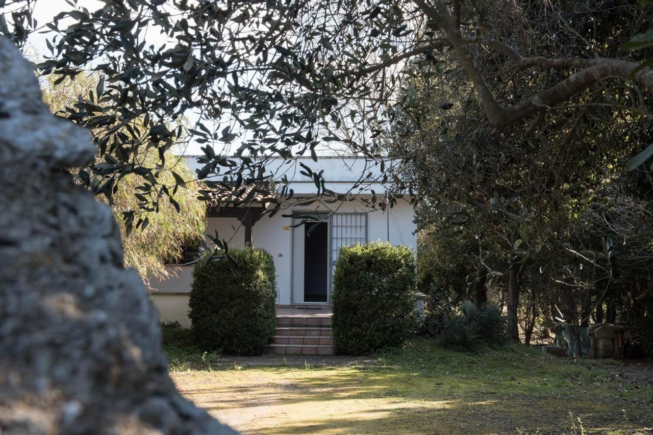 Villa Zoe ตอร์เรเดลลอร์โซ ภายนอก รูปภาพ